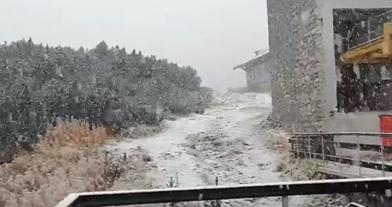 Снегът дойде! Заваля сняг на парцали, зимата ни изненада