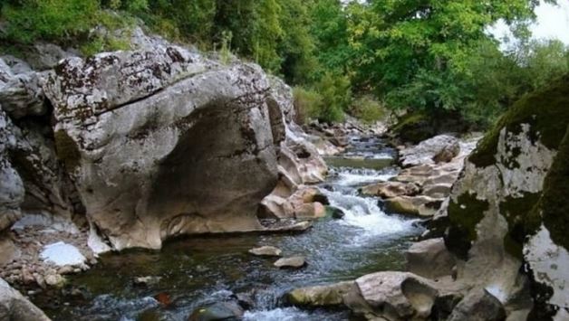 Извадиха от река край гробищата на с. Главаци трупа на известен лекар СНИМКА