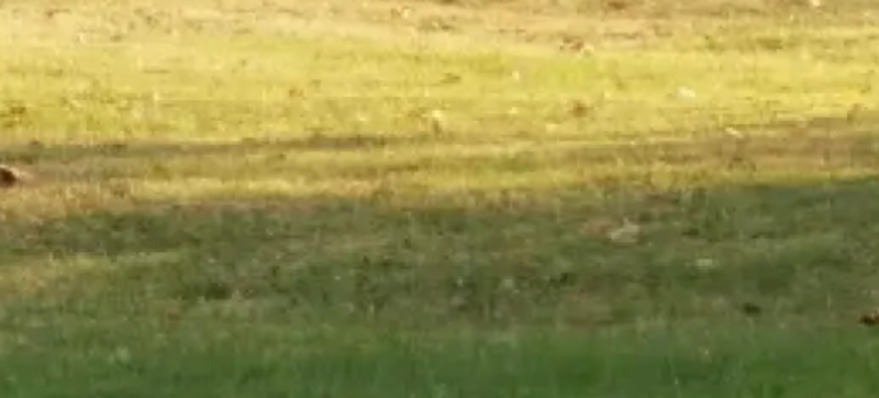 Голяма трагедия се случи! Колоездач загина в шахта на пловдивски булевард