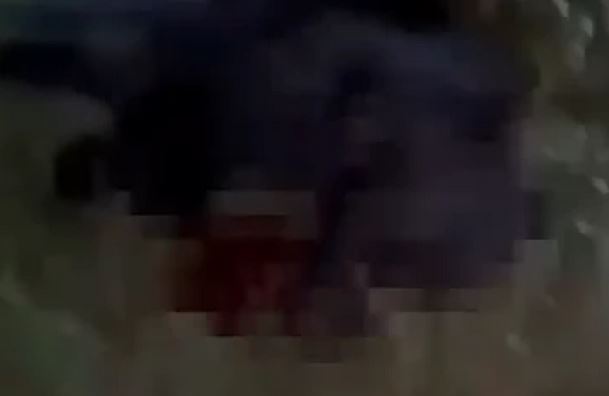 Огромна мечка разкъса до смърт баща и син в дома им СНИМКИ 18+