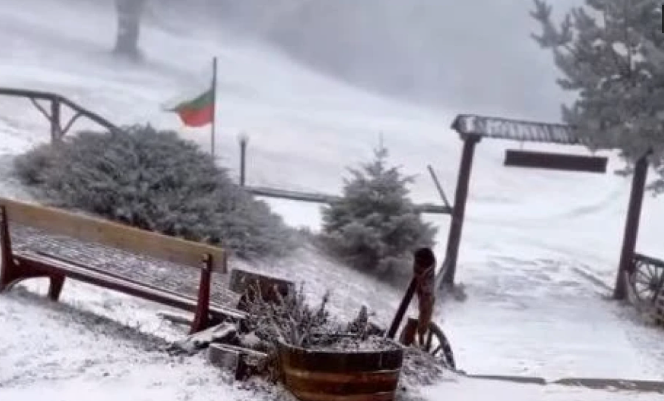 Първият сняг заваля! Ето къде в България зимата вече дойде СНИМКИ и ВИДЕО