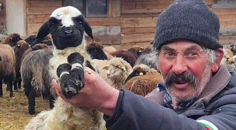 Извънредна ситуация при фермата на Илиеви във Велинград, над 400 души се събраха и