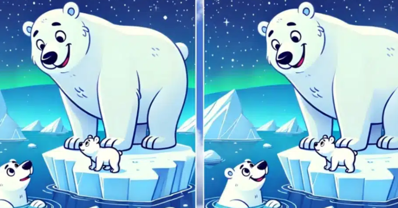Polar Challenge: Тествайте способностите си за наблюдение сред леда и северното сияние!