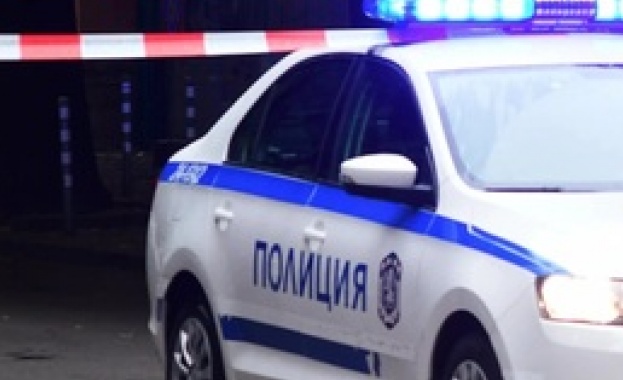 НЕЧУВАНА ЖЕСТОКОСТ! Майка уби невръстните си дечица в Софийско ВИДЕО