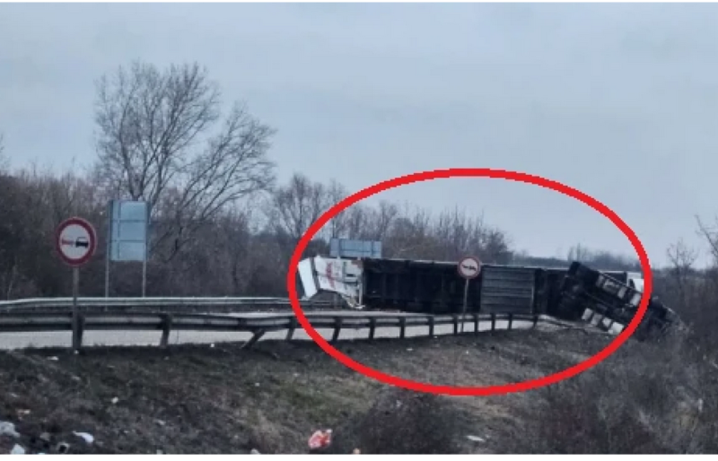 Огромна трагедия! Касапница с 4 трупа край Видин СНИМКИ