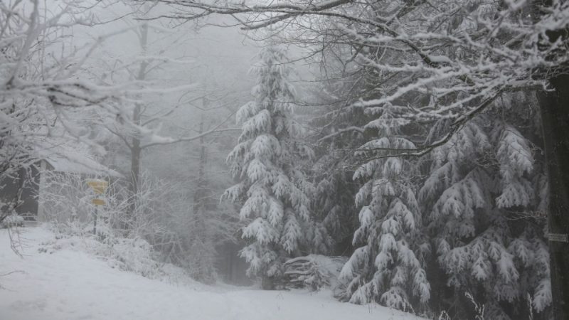 Синоптици от Meteo Balkans заплашиха с ново завръщане на зимата в България