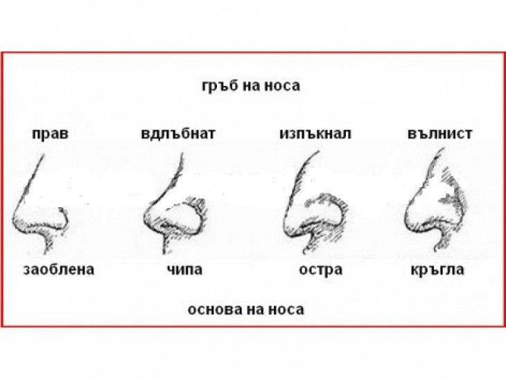 Вижте каква тайна за Вас може да разкрие формата на носа Ви!