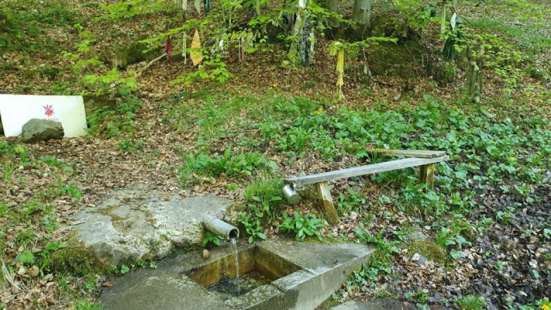Близо до София тече лековита вода, препоръчвана от самата Ванга – вижте къде се намира: