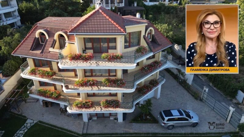 Ето го палатът на скандалната Пламенка Димитрова и откъде идват милионите
