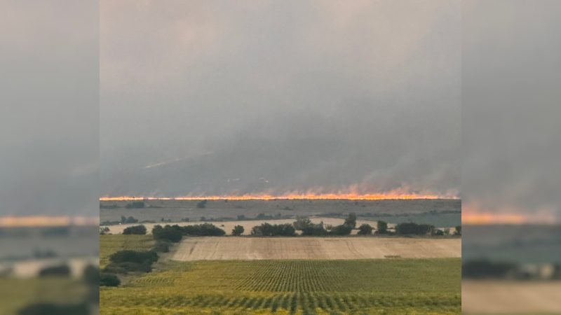 ВНИМАНИЕ! Пожарът в Костинбродско отново се разгоря