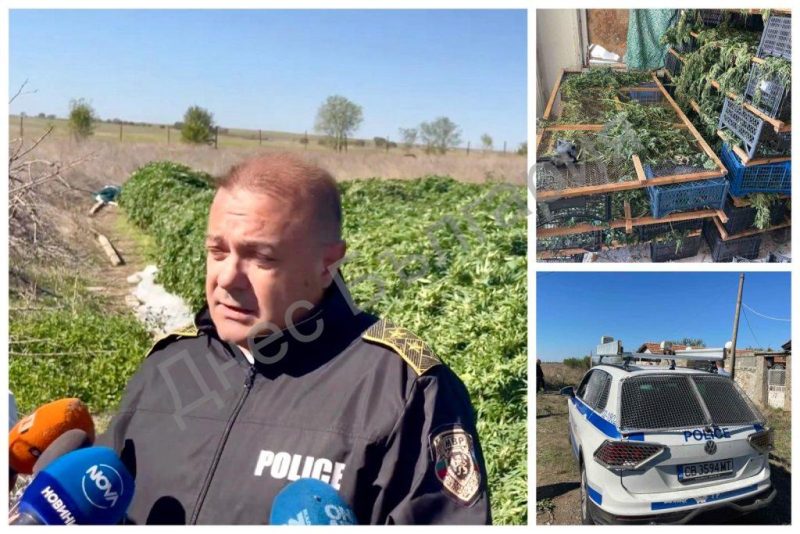 Задържаха прокурорския син в наркоферма!