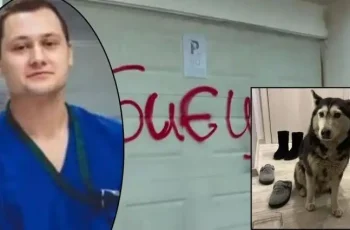 Разтърсващи разкрития от прокуратурата за убийството на кучето Мая!
