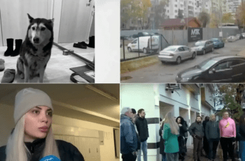Съседи разкриха шокиращи подробности за наглия убиец на кучето Мая Видео