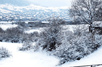 Meteo Balkans: Зимата идва! Ето кога пада първия сняг!