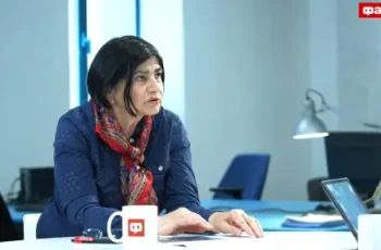 Скритата опасност в аржентинския слънчоглед: Забранени инсектициди и риск за здравето